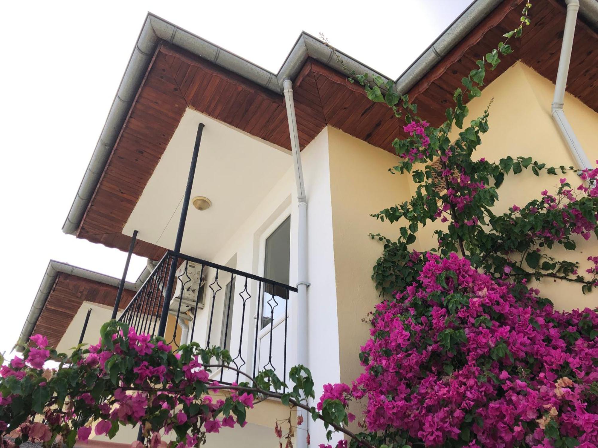 Defne Olive Gardens, Koca Calis, Fethiye - Previously Defne Pansiyon Exterior photo