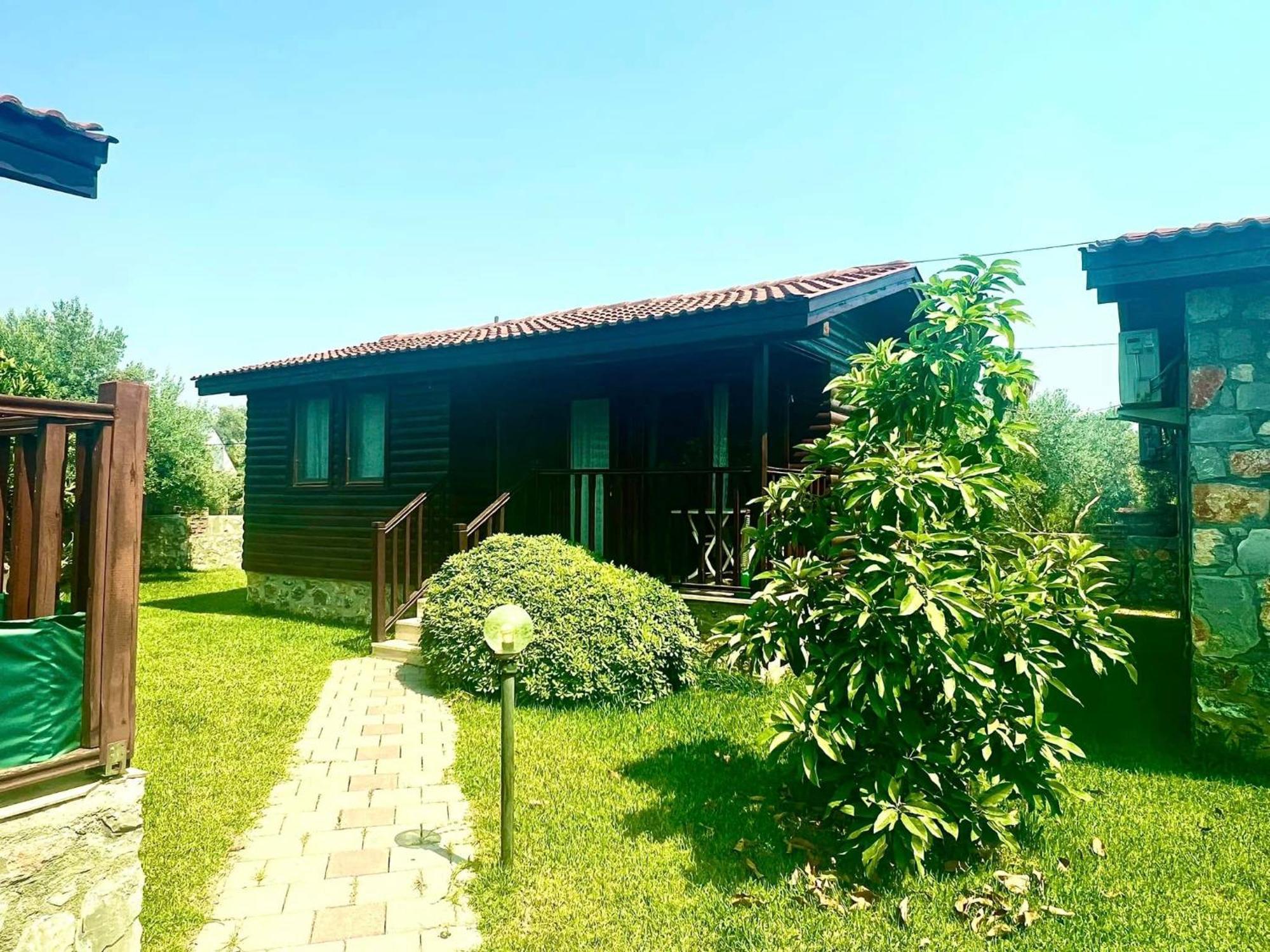 Defne Olive Gardens, Koca Calis, Fethiye - Previously Defne Pansiyon Room photo