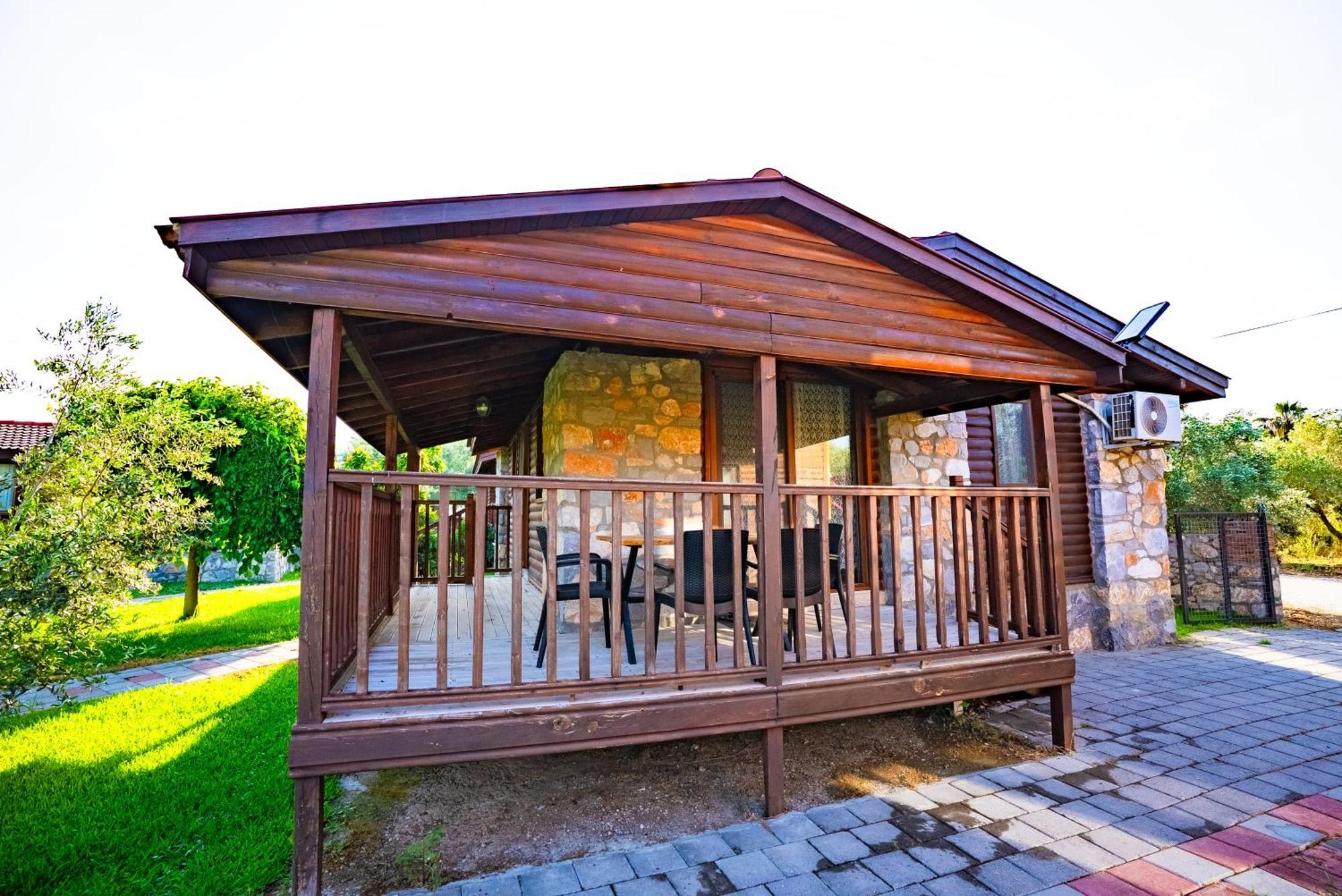Defne Olive Gardens, Koca Calis, Fethiye - Previously Defne Pansiyon Room photo