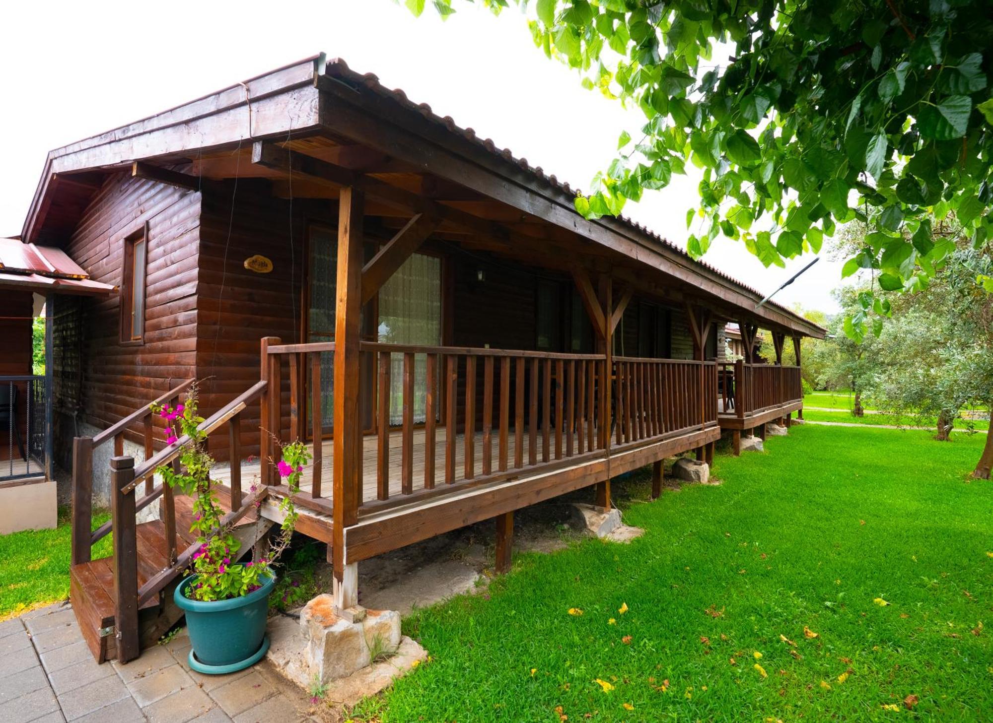 Defne Olive Gardens, Koca Calis, Fethiye - Previously Defne Pansiyon Room photo
