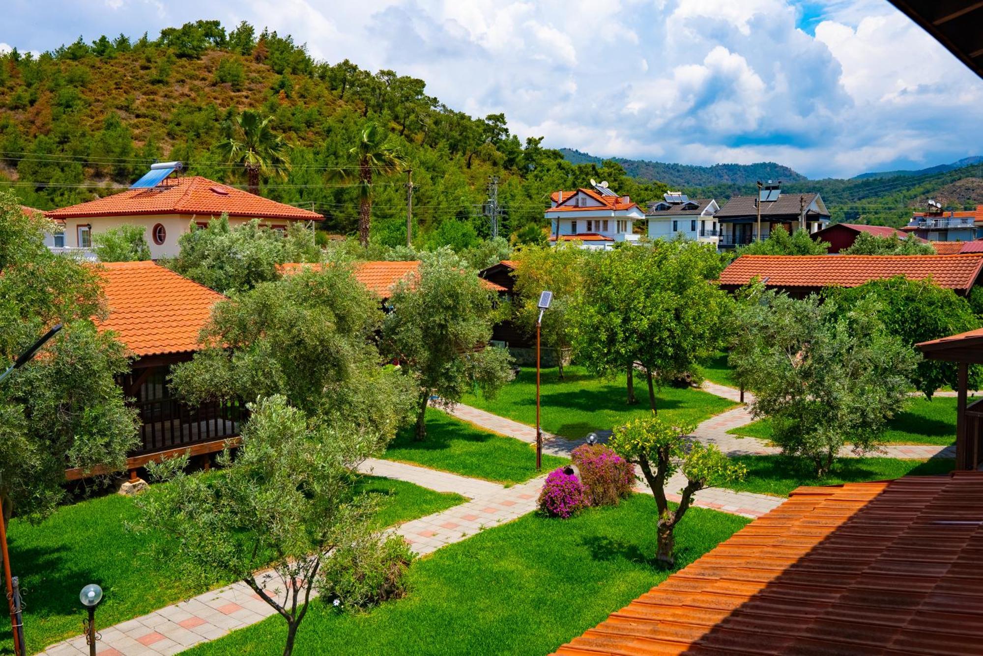 Defne Olive Gardens, Koca Calis, Fethiye - Previously Defne Pansiyon Exterior photo