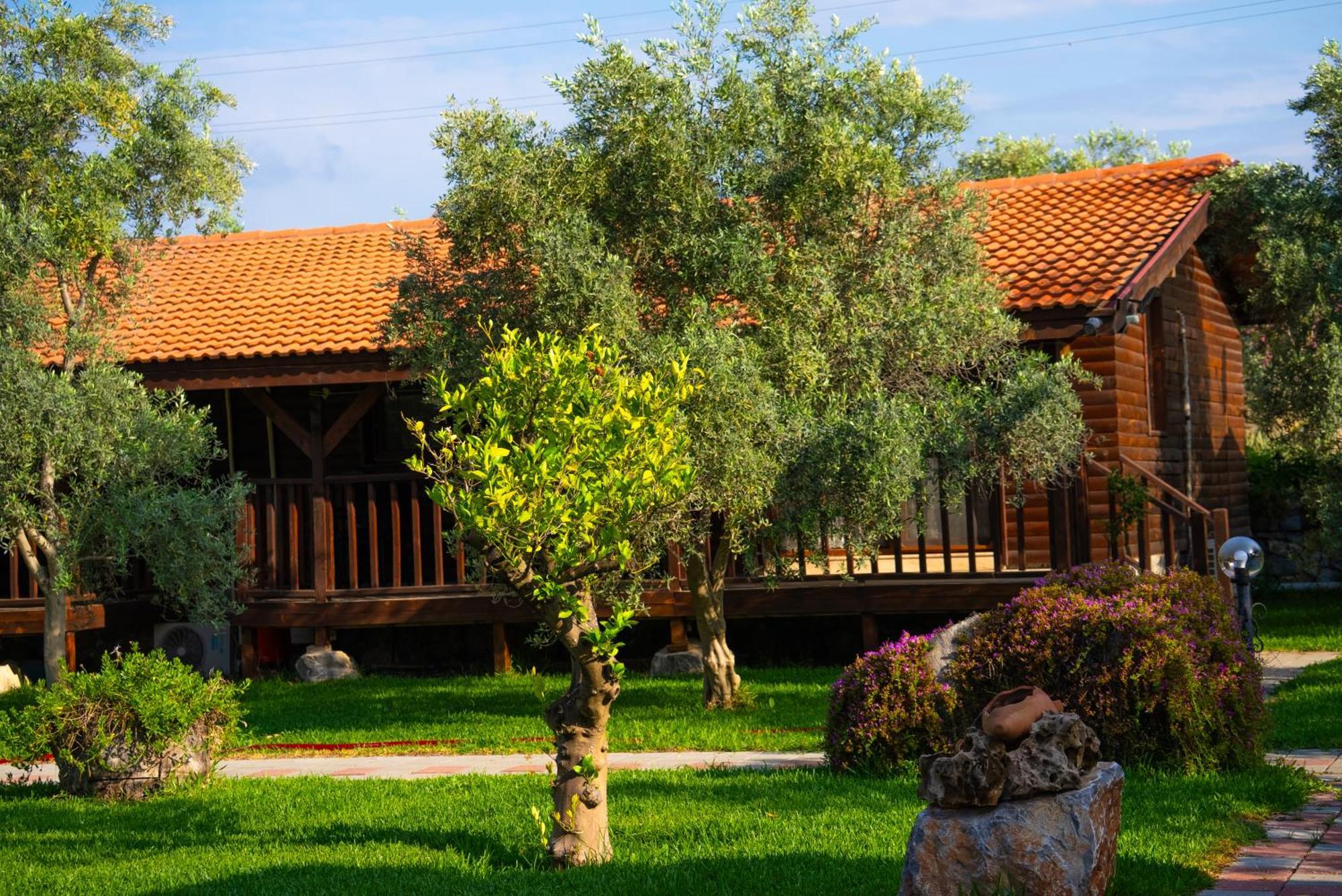 Defne Olive Gardens, Koca Calis, Fethiye - Previously Defne Pansiyon Exterior photo