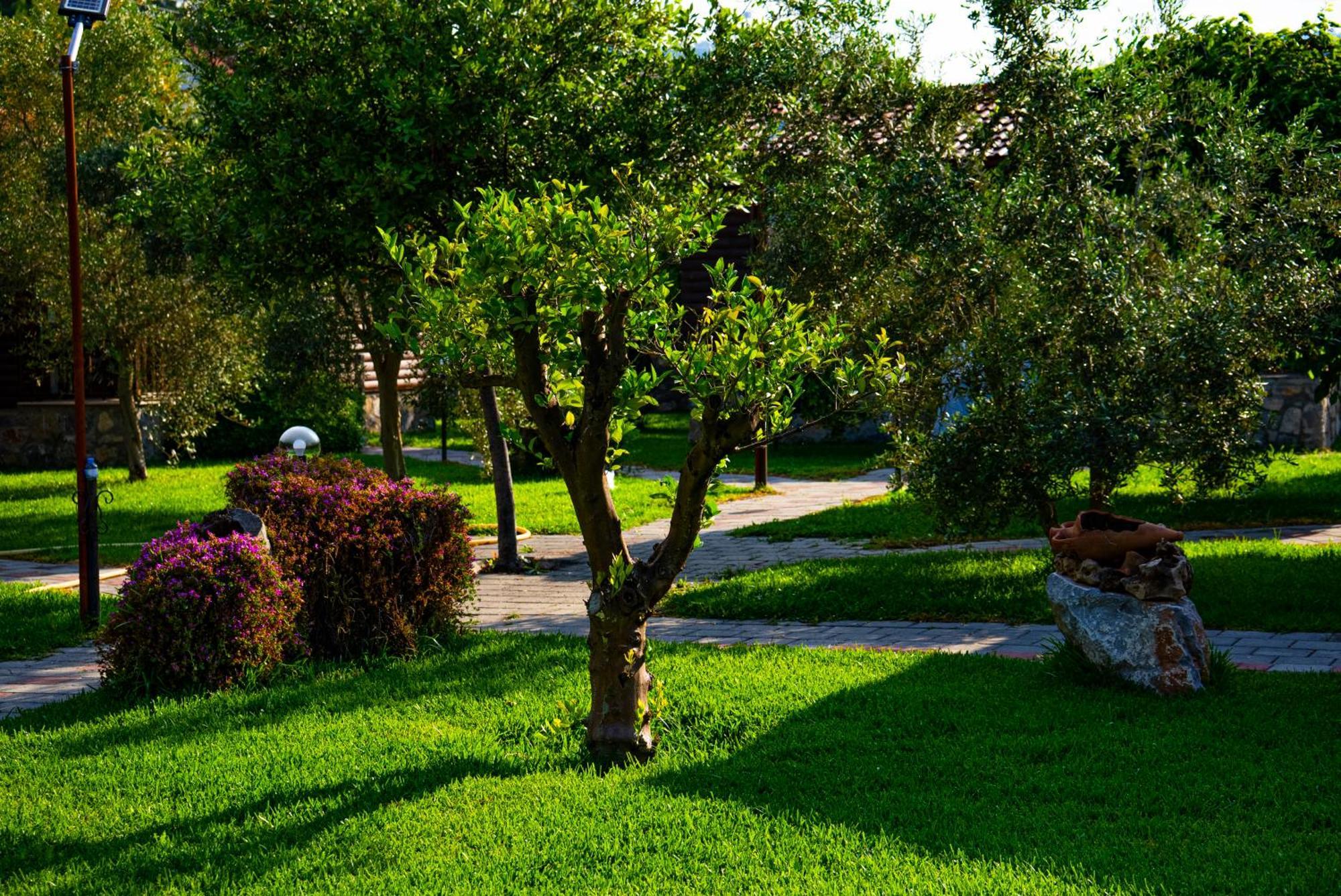 Defne Olive Gardens, Koca Calis, Fethiye - Previously Defne Pansiyon Exterior photo