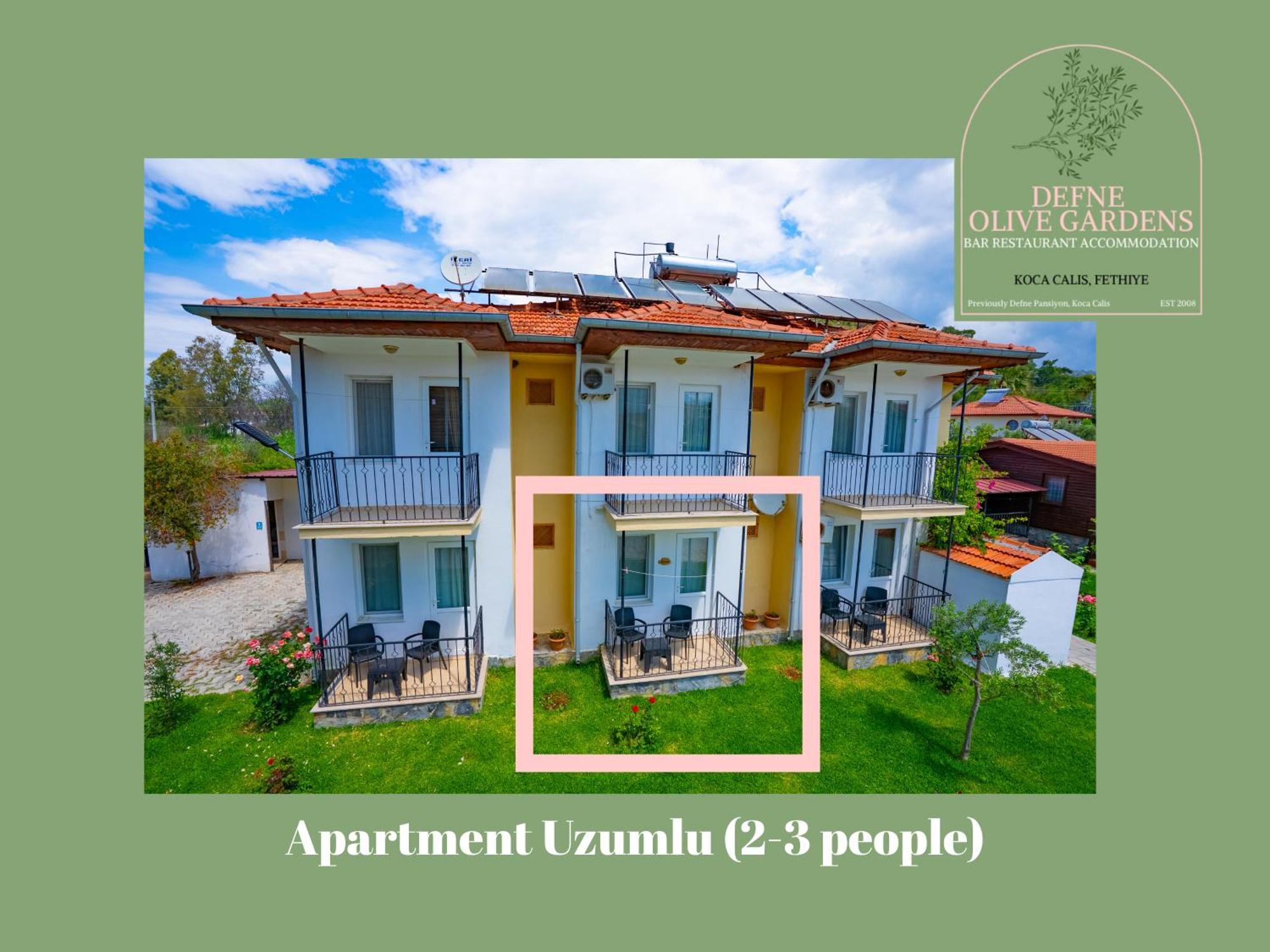 Defne Olive Gardens, Koca Calis, Fethiye - Previously Defne Pansiyon Room photo